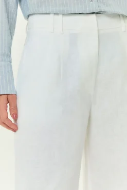 Calça Alfaiataria Linho Prega